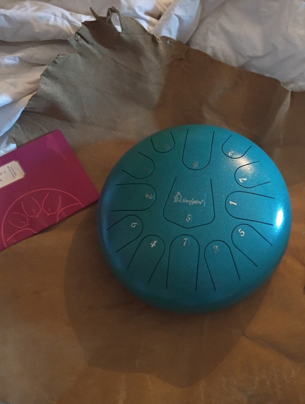 Steel Tounge Drum